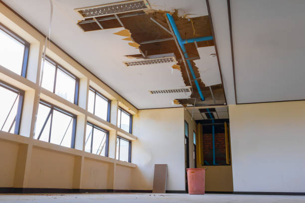 Best Local water damage restoration  in Ottumwa, IA