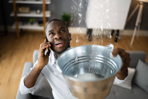 Best Water damage contractors near me  in Ottumwa, IA