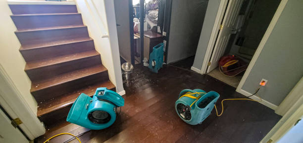 Best Water damage cleanup near me  in Ottumwa, IA