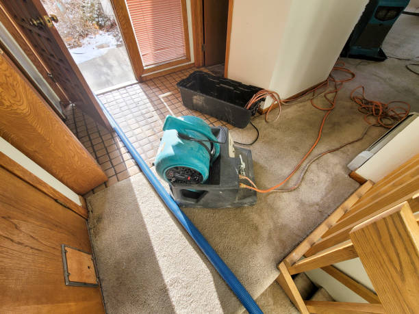 Best Local water damage restoration  in Ottumwa, IA