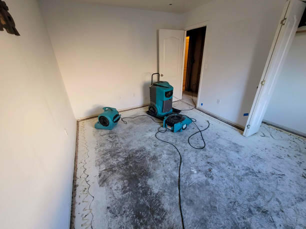 Best 24/7 water damage repair  in Ottumwa, IA