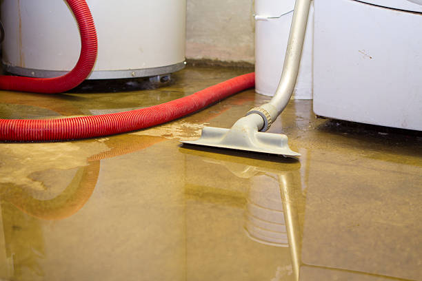 Best Water damage restoration specialists  in Ottumwa, IA