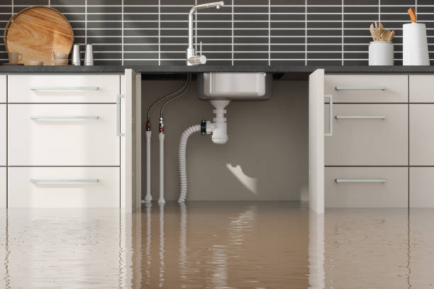 Best Mold removal after water damage  in Ottumwa, IA