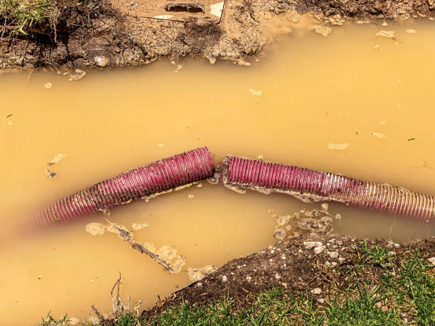 Best Residential water damage restoration  in Ottumwa, IA