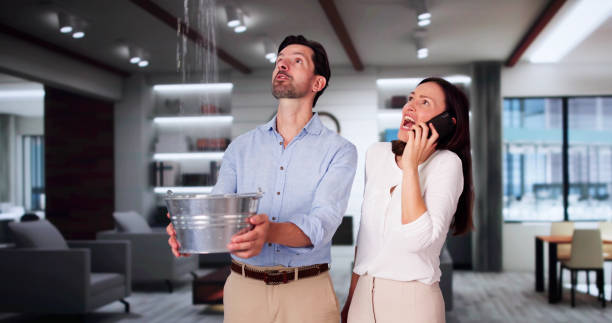 Best Ceiling water damage repair  in Ottumwa, IA